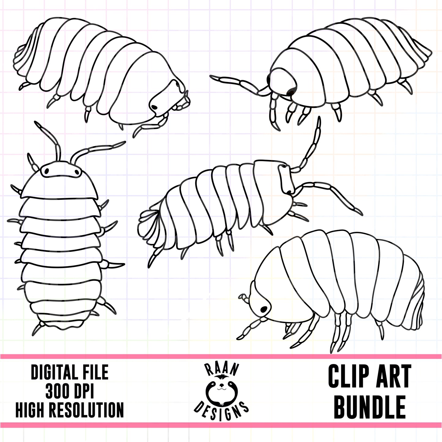 Isopods Outlines-Clipart Bundle