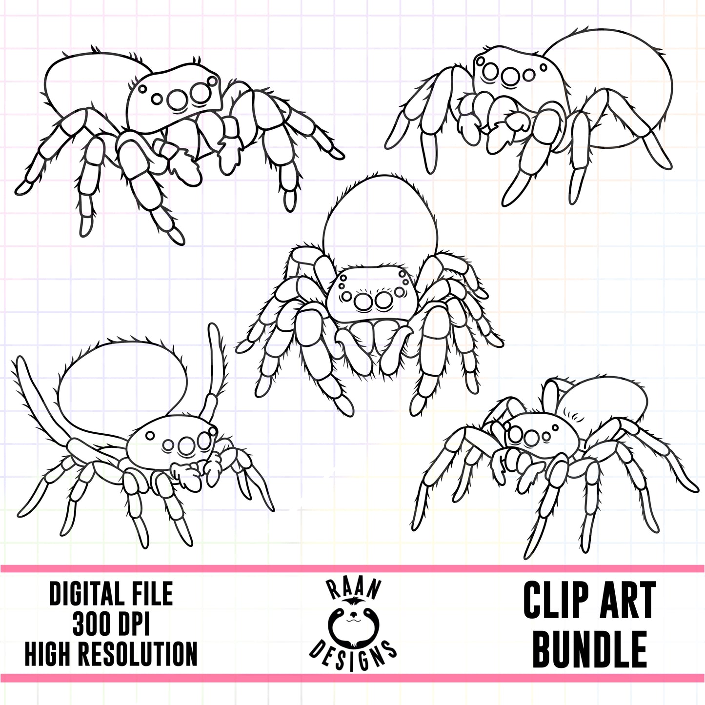 Jumping SpiderOutlines-Clipart Bundle