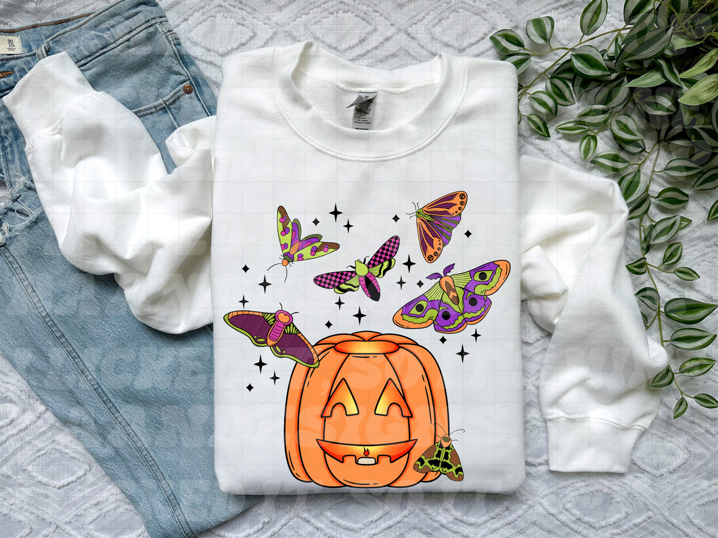 Moth Jack O Lantern