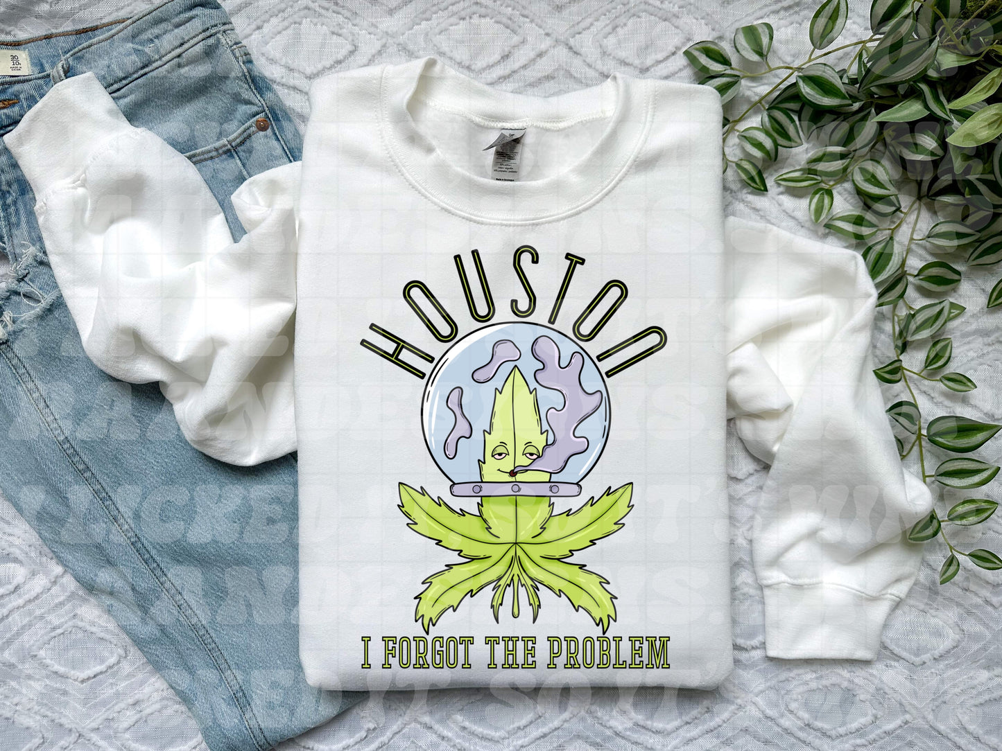 Houston I Forgot The Problem