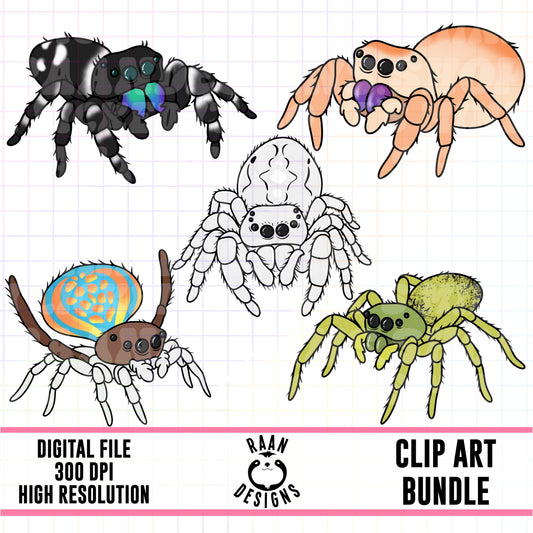 Jumping Spider-Clipart Bundle