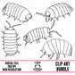 Isopods Outlines-Clipart Bundle