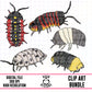 Isopods-Clipart Bundle