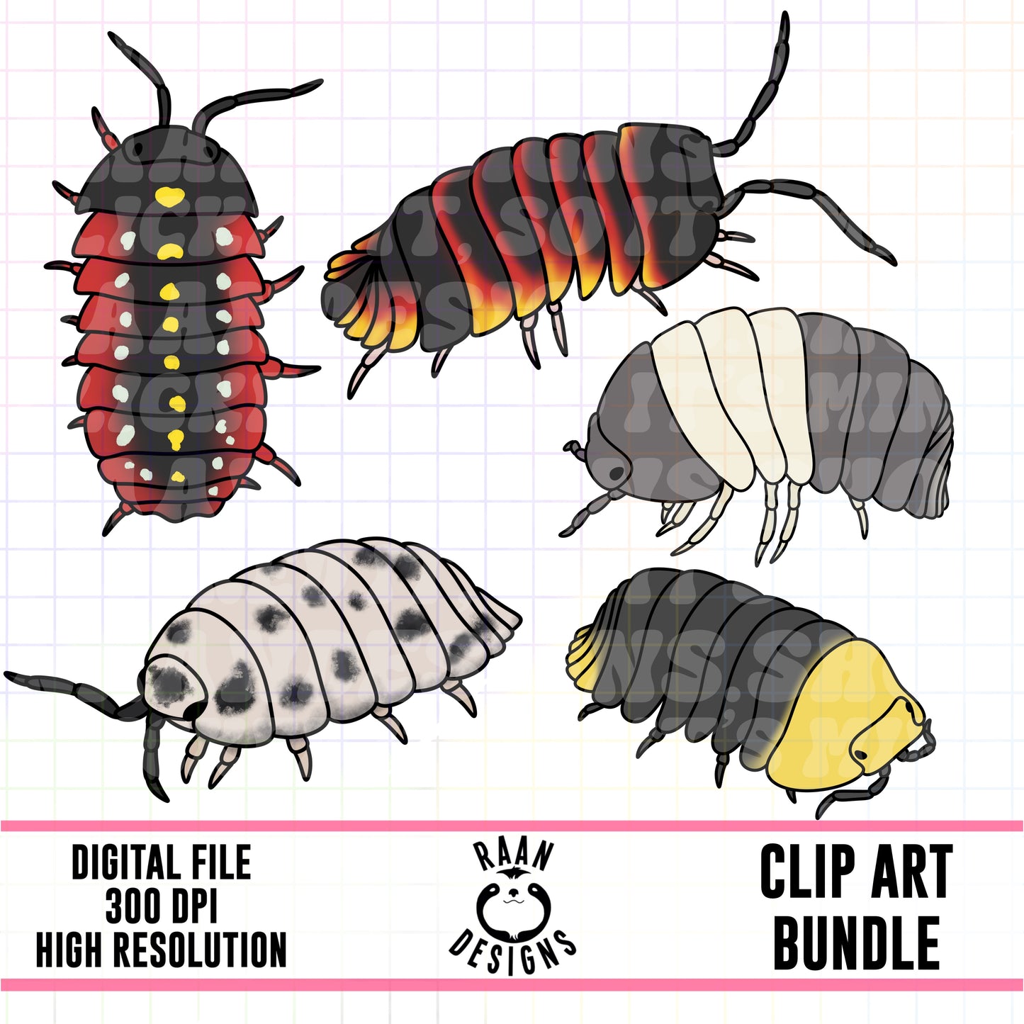 Isopods-Clipart Bundle