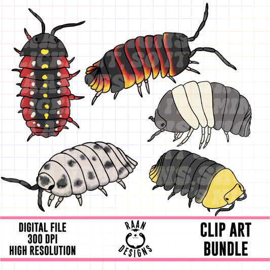 Isopods-Clipart Bundle