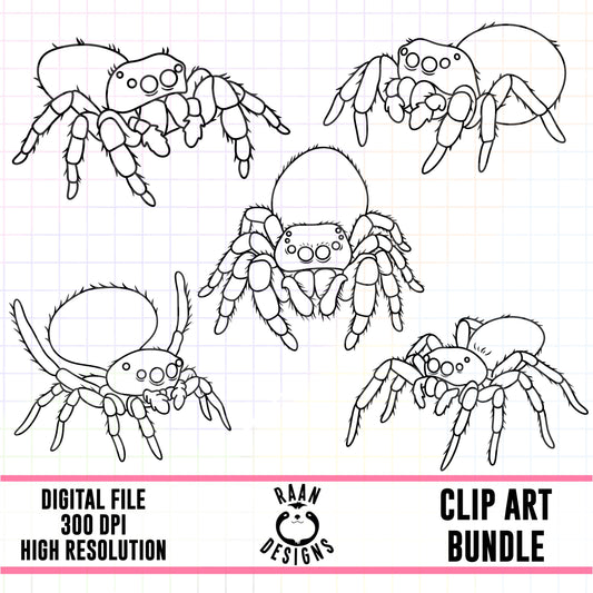 Jumping SpiderOutlines-Clipart Bundle