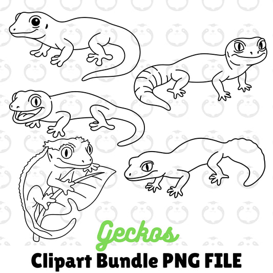 Geckos Outline-Clipart Bundle