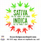 Sativa/Indica Change Color